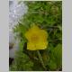 DSCN0051.JPG