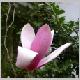 DSCN0097.JPG