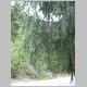 DSCN0315.JPG